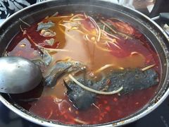 -弘烨 贵州酸汤 鱼火锅(东财店)