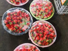 -上海龙吴水胜海发市场