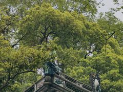 -杭州半山国家森林公园