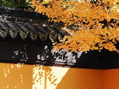 -西园寺素食(西园弄戒幢律寺店)