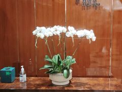 -索菲特酒店·乐轩华中餐厅