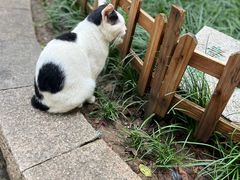 -西园戒幢律寺