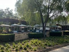 -永定河休闲森林公园