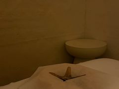 -舒小悦·舒养SPA·古法推拿(光环中心店)