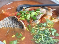 -风鑫铃罗非鱼(道沟店)