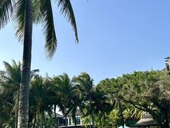 -海南清水湾莱佛士酒店