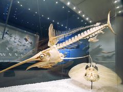 -深海中餐厅(国家海洋博物馆店)