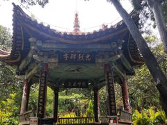-昆明动物园