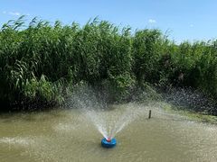 -樂桃源奉贤黄桃种植采摘基地