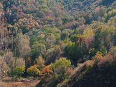 -玉渡山自然风景区