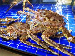 -开海·红岛海鲜虾水饺(石老人店)