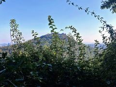 -九曜山