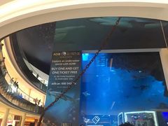 -迪拜水族馆及水下动物园
