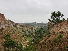 -彩色沙林风景区