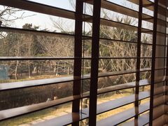 -佶政筋饼·新概念(安阳路店)