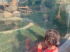 -泉州海丝野生动物世界