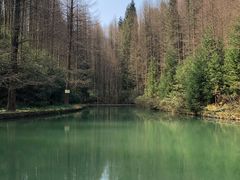 -山王坪喀斯特国家生态公园