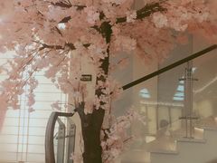 -汤里来温泉