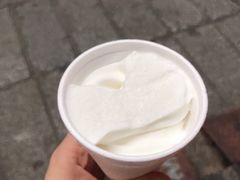 -洪馨椰子