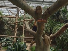 -济州山房山碳酸温泉