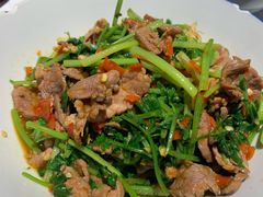 香菜炒牛肉-壹盏灯(蚂蚁工房店)