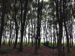 -嘉北郊野公园