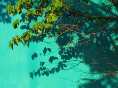 -南京市江宁方山