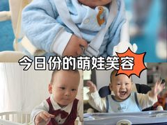 -大塘金香草谷