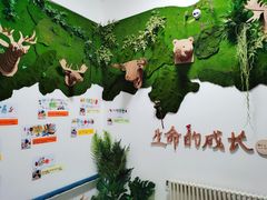 -吉而慧幼儿园-原红黄蓝幼儿园(世华水岸园)