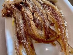 -华盛丰温州大排档(东三环南路店)