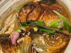 姜葱腐竹焗西江大鲫鱼-五稻厨房粤西菜(新闻店)