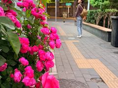 -申德勒加油站西餐厅(日坛路总店)