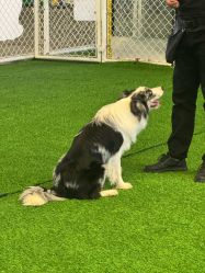 -酷嗒动物文化乐园(cutezoo西溪乐天城店)