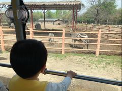 -西安秦岭野生动物园