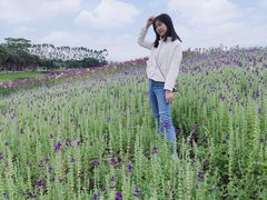 -迪茵湖田家舍生态农场
