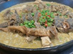 -老板恋上鱼(恒隆广场店)