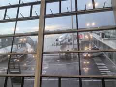 -合肥新桥国际机场-航站楼