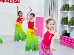 -小芳舞蹈团·少儿舞蹈·中国舞(龙江校区)