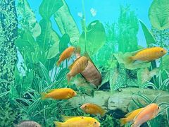 -泉州海丝野生动物世界