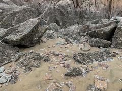 -北岐滩涂