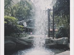 -深圳欢乐谷
