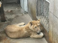 -西安秦岭野生动物园