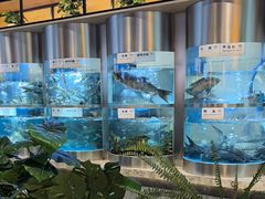 -老船舫·现做活鲜鱼馆(东郊记忆店)