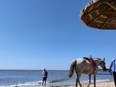 -碣石国家级海洋公园