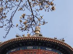 -大钟寺古钟博物馆