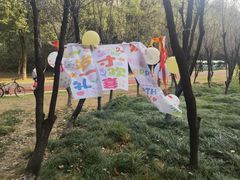 -艾溪湖湿地公园