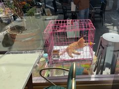 -后海16号·北京私房菜