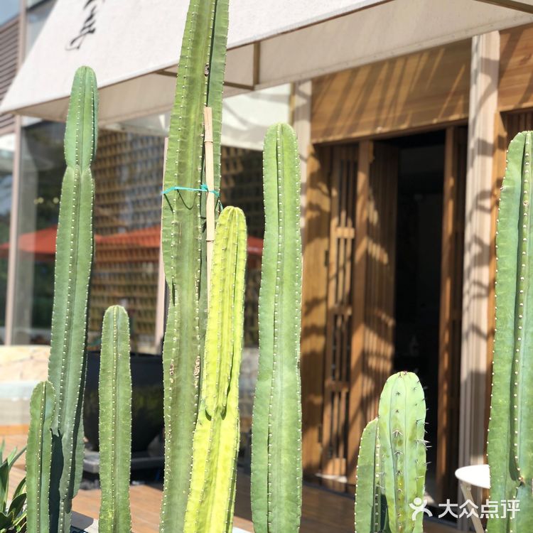 山与spa&massage｜光环最美芳疗店💆 