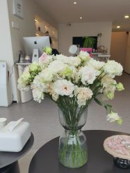 -JNK皮肤管理中心