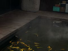-觀芷隐轩